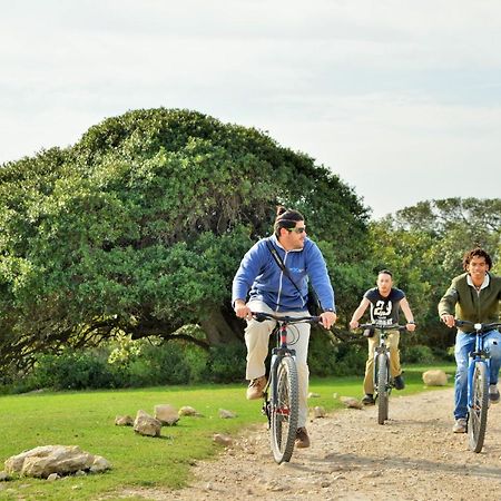 De Hoop Collection - Campsite Rondawels De Hoop Nature Reserve Exterior foto