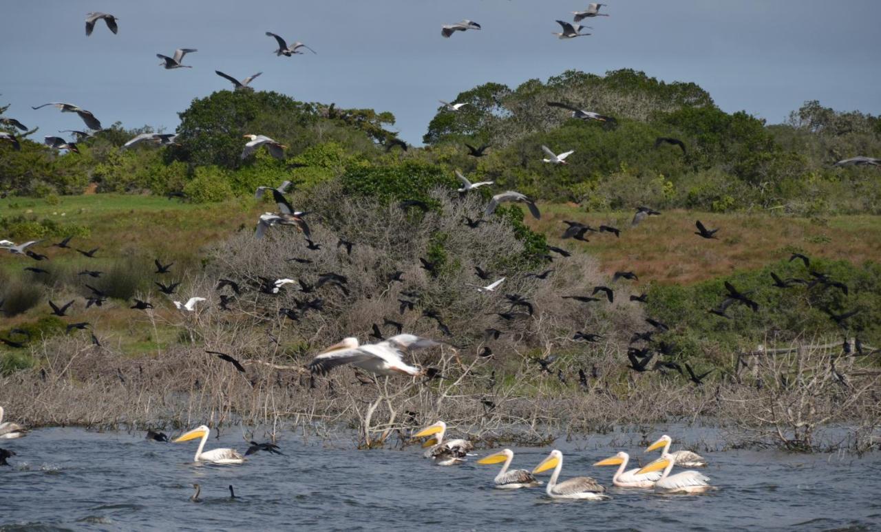 De Hoop Collection - Campsite Rondawels De Hoop Nature Reserve Exterior foto