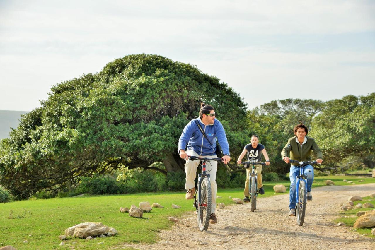 De Hoop Collection - Campsite Rondawels De Hoop Nature Reserve Exterior foto