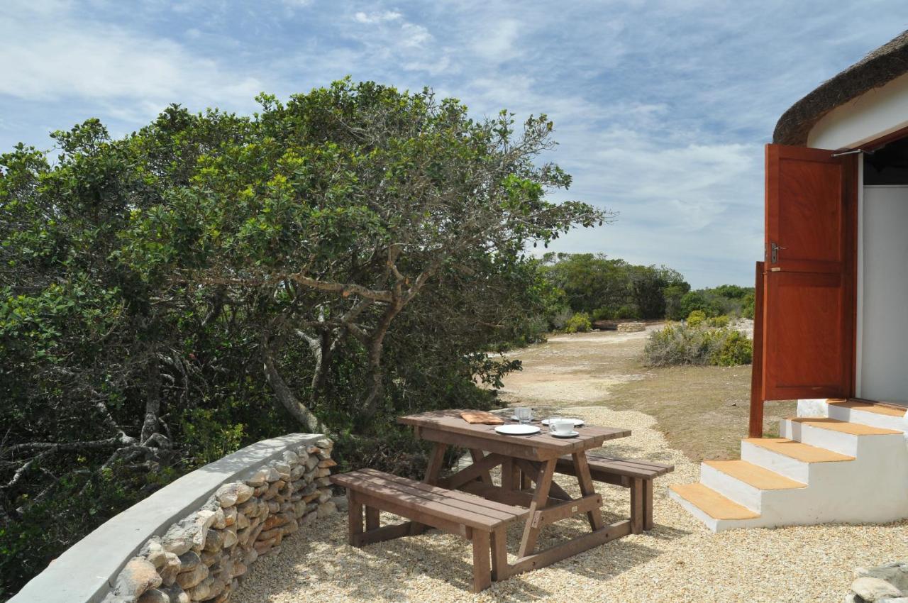 De Hoop Collection - Campsite Rondawels De Hoop Nature Reserve Exterior foto