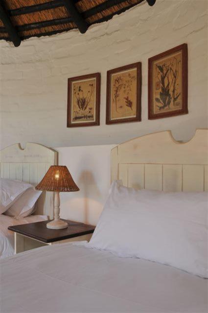 De Hoop Collection - Campsite Rondawels De Hoop Nature Reserve Exterior foto